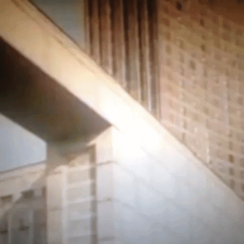 Animated GIF-downsized_large (8).gif