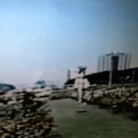 Animated GIF-downsized_large (16).gif