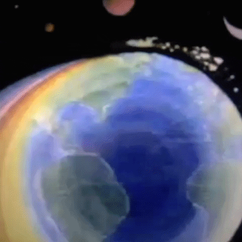 Animated GIF-downsized_large (22).gif