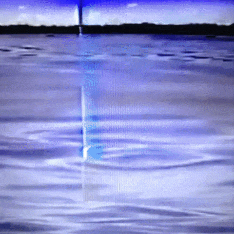 Animated GIF-downsized_large (23).gif