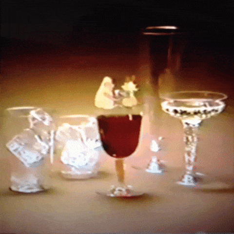 Animated GIF-downsized_large (25).gif