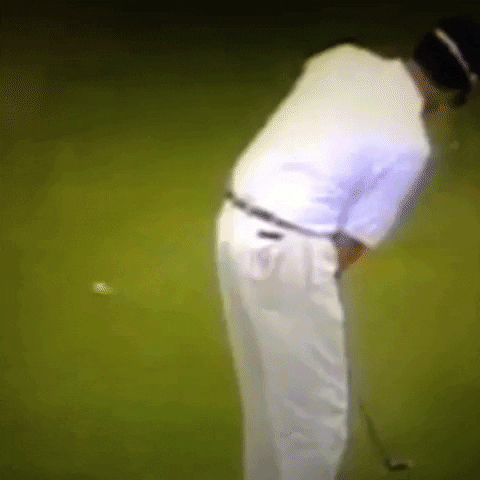 Animated GIF-downsized_large (46).gif