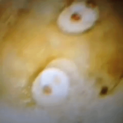 Animated GIF-downsized_large (49).gif