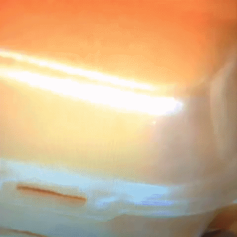 Animated GIF-downsized_large (54).gif