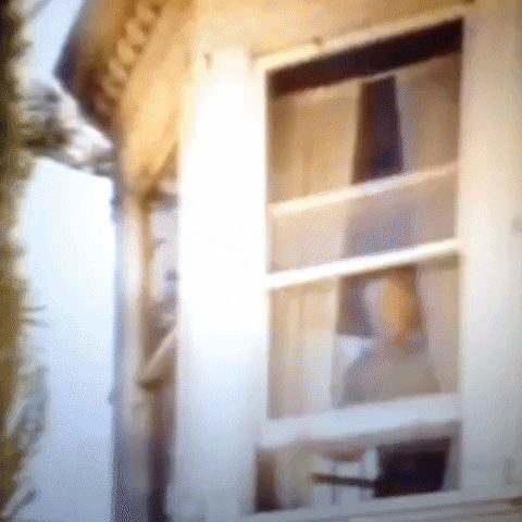 Animated GIF-downsized_large (60).gif