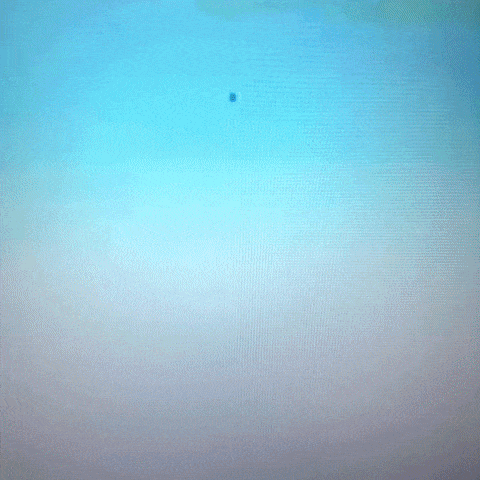Animated GIF-downsized_large (69).gif