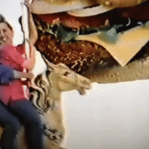 Animated GIF-downsized_large (71).gif