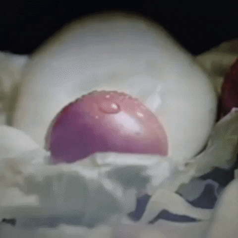 Animated GIF-downsized_large (73).gif