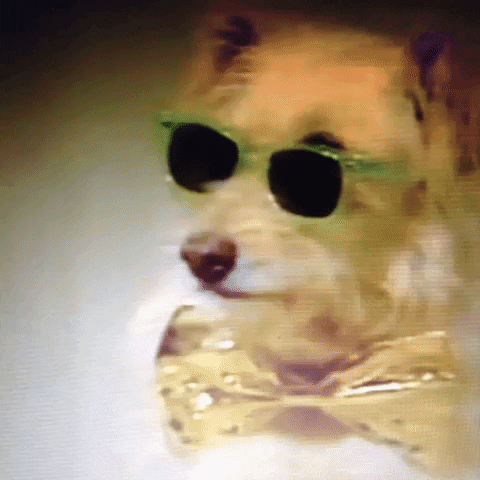 Animated GIF-downsized_large (74).gif