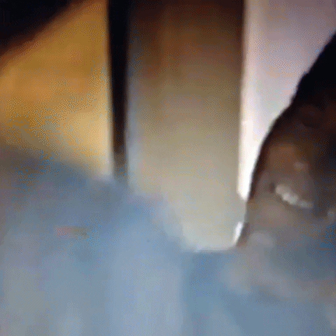 Animated GIF-downsized_large (78).gif