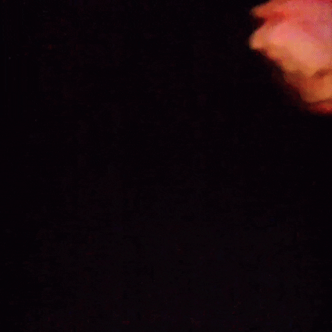 Animated GIF-downsized_large (82).gif