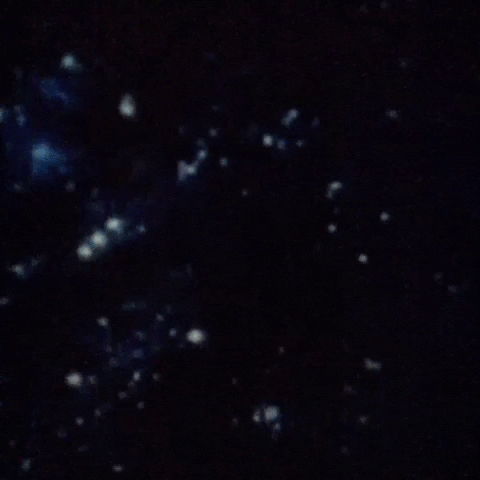 Animated GIF-downsized_large (88).gif