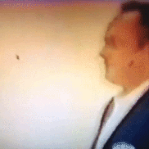 Animated GIF-downsized_large (90).gif