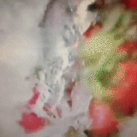 Animated GIF-downsized_large (96).gif