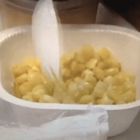 Animated GIF-downsized_large - 2021-02-21T210859.641.gif