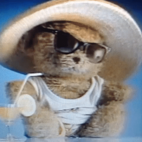 Animated GIF-downsized_large - 2021-02-21T210910.176.gif