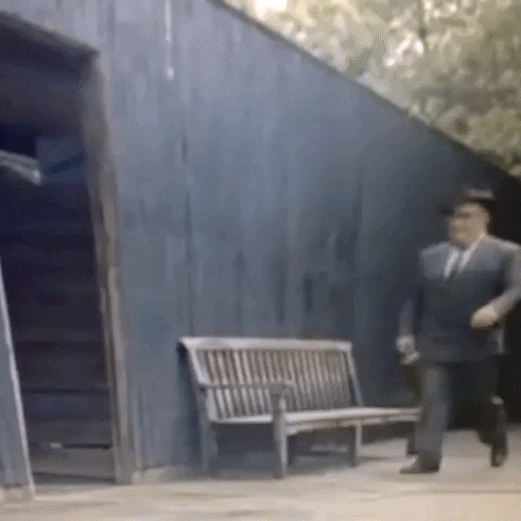 Animated GIF-downsized_large - 2021-02-21T210919.313.gif