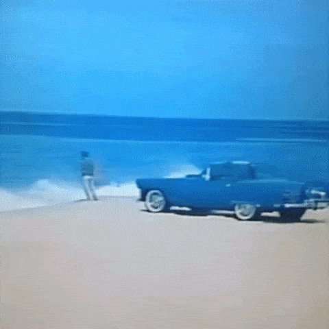 Animated GIF-downsized_large - 2021-02-21T211515.115.gif