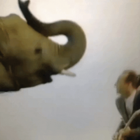 Animated GIF-downsized_large - 2021-02-21T211640.118.gif