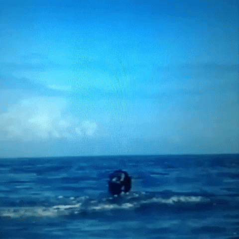 Animated GIF-downsized_large - 2021-02-21T211653.406.gif