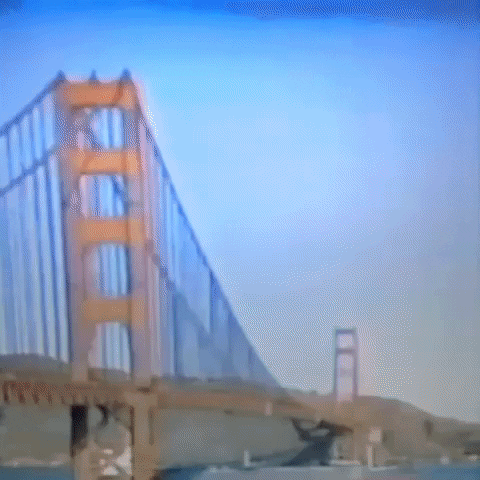 Animated GIF-downsized_large - 2021-02-21T211656.606.gif