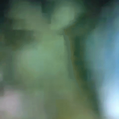 Animated GIF-downsized_large - 2021-02-21T211703.123.gif