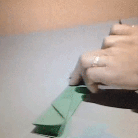 Animated GIF-downsized_large - 2021-02-21T211709.221.gif