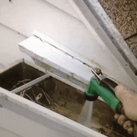 Animated GIF-downsized_large - 2021-02-21T211737.152.gif