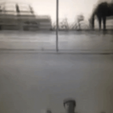 Animated GIF-downsized_large - 2021-02-21T212817.527.gif