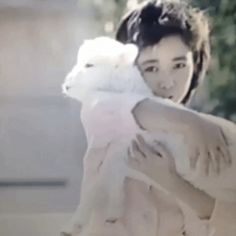 Animated GIF-downsized_large - 2021-02-21T212831.359.gif