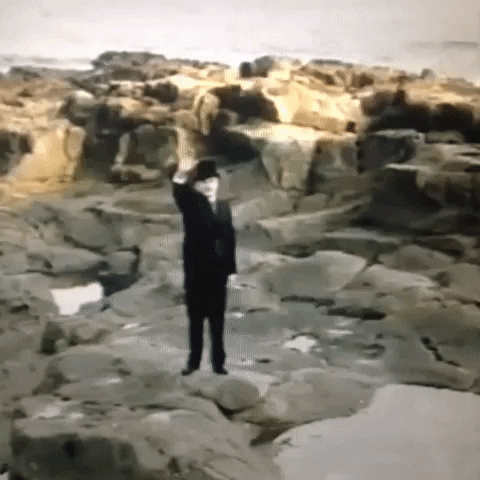 Animated GIF-downsized_large - 2021-02-21T212855.948.gif