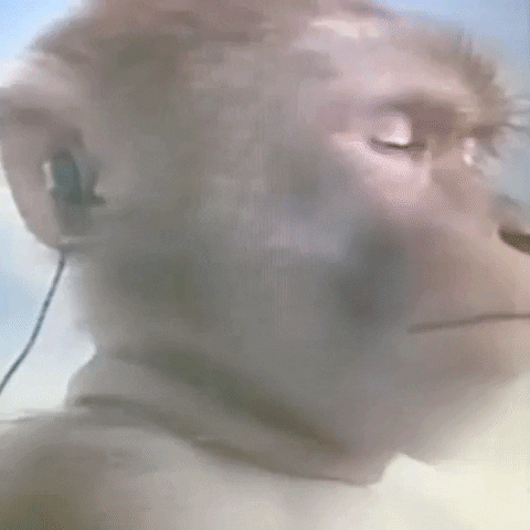 Animated GIF-downsized_large - 2021-02-21T212926.904.gif