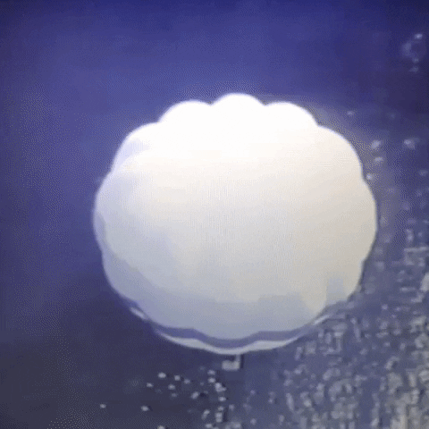 Animated GIF-downsized_large (2).gif