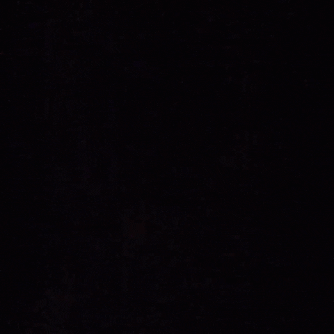 Animated GIF-downsized_large (3).gif