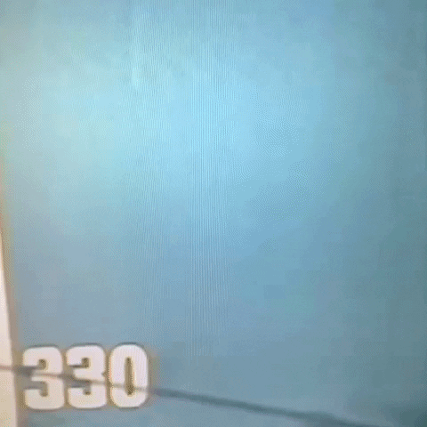 Animated GIF-downsized_large (5).gif