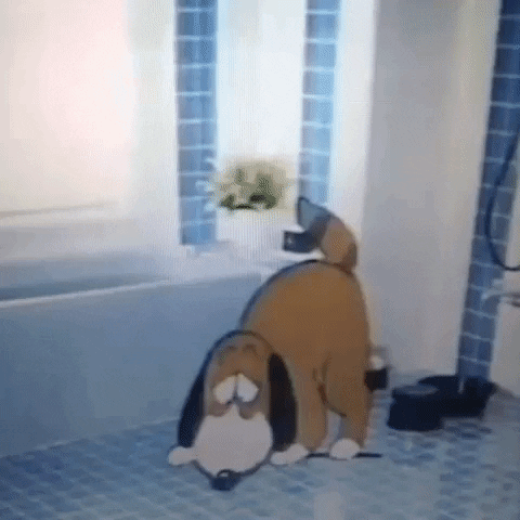 Animated GIF-downsized_large (7).gif