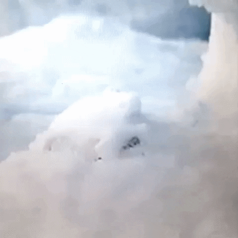 Animated GIF-downsized_large (10).gif