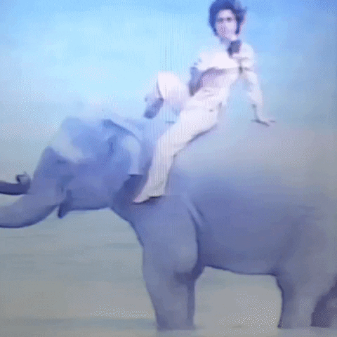 Animated GIF-downsized_large (11).gif