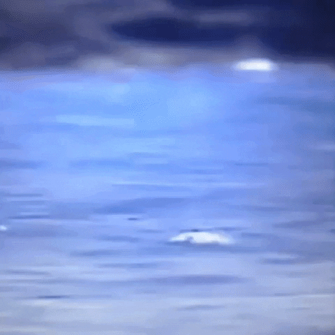 Animated GIF-downsized_large (21).gif