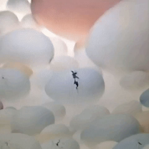 Animated GIF-downsized_large (24).gif