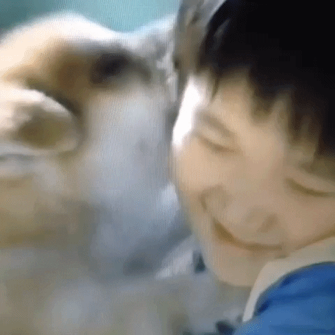 Animated GIF-downsized_large (25).gif