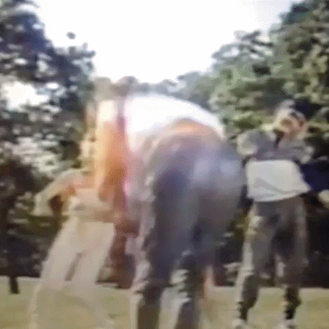 Animated GIF-downsized_large (26).gif