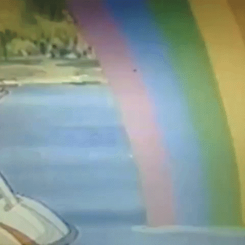 Animated GIF-downsized_large (35).gif