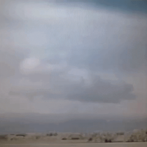 Animated GIF-downsized_large (38).gif