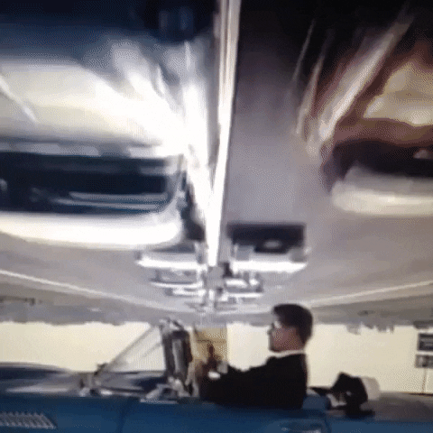 Animated GIF-downsized_large (40).gif