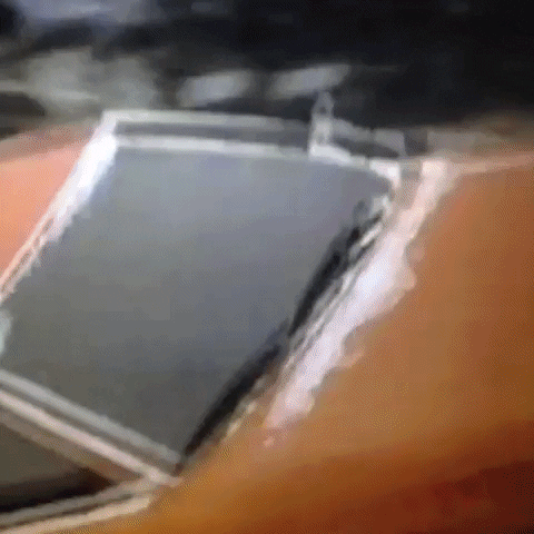 Animated GIF-downsized_large (45).gif