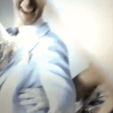 Animated GIF-downsized_large (47).gif