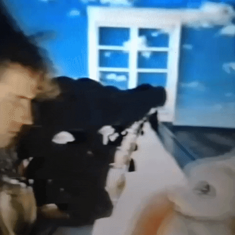 Animated GIF-downsized_large (50).gif