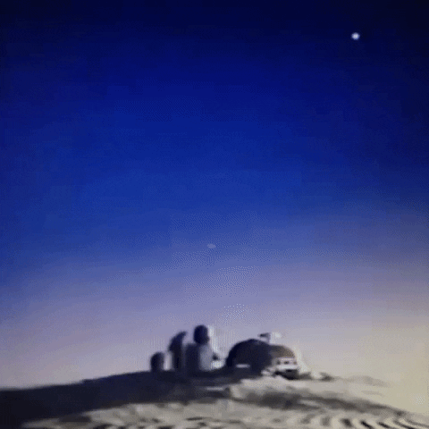 Animated GIF-downsized_large (61).gif