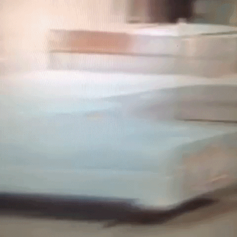 Animated GIF-downsized_large (63).gif